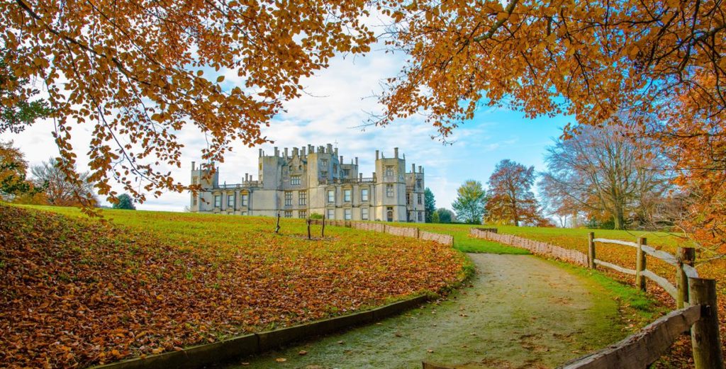 Sherborne Castle - near luxury, romantic shepherd's huts