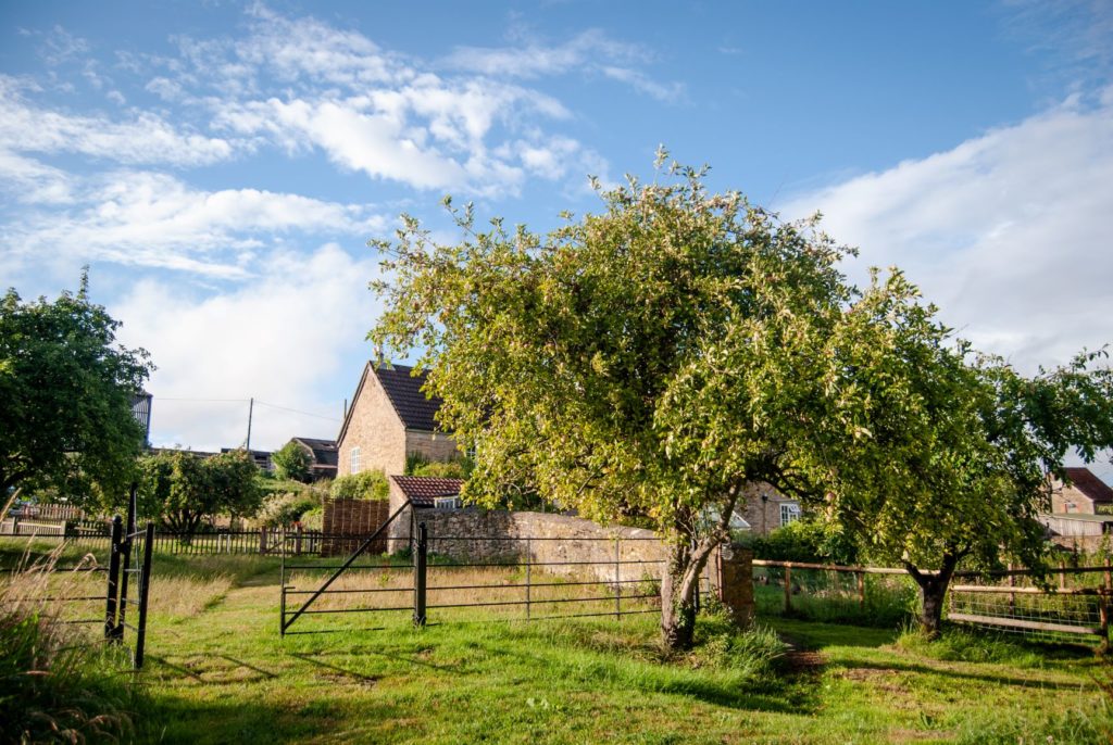 Cottage Exterior - luxury family holiday cottage