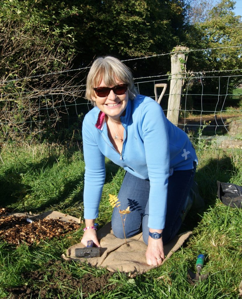 Tree Planting on an Organic Dorset Farm