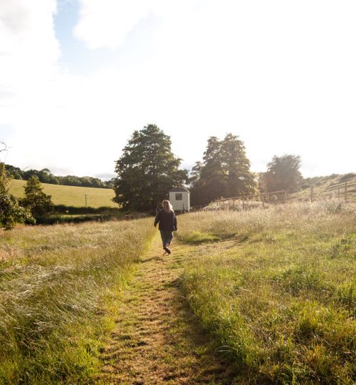 Path - Unique Stays near Sherborne